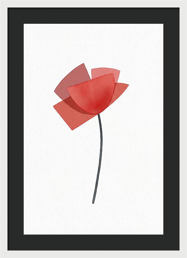 Red Poppy Minimalism