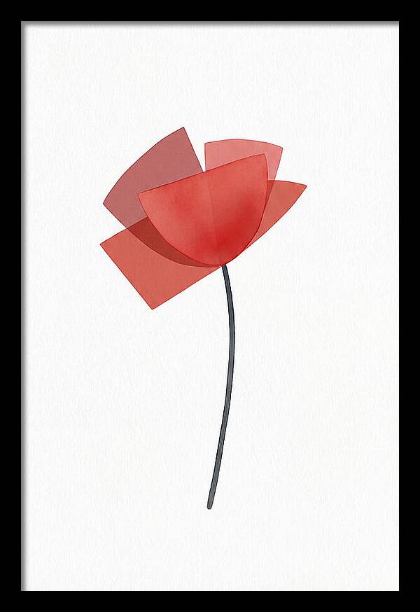 Red Poppy Minimalism