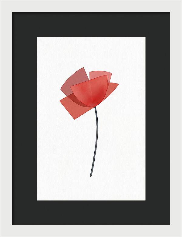 Red Poppy Minimalism