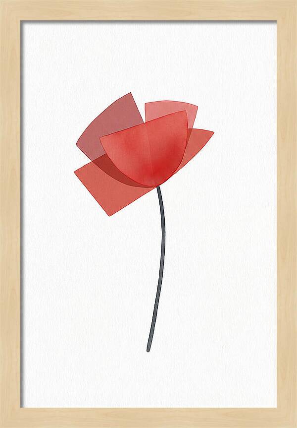 Red Poppy Minimalism