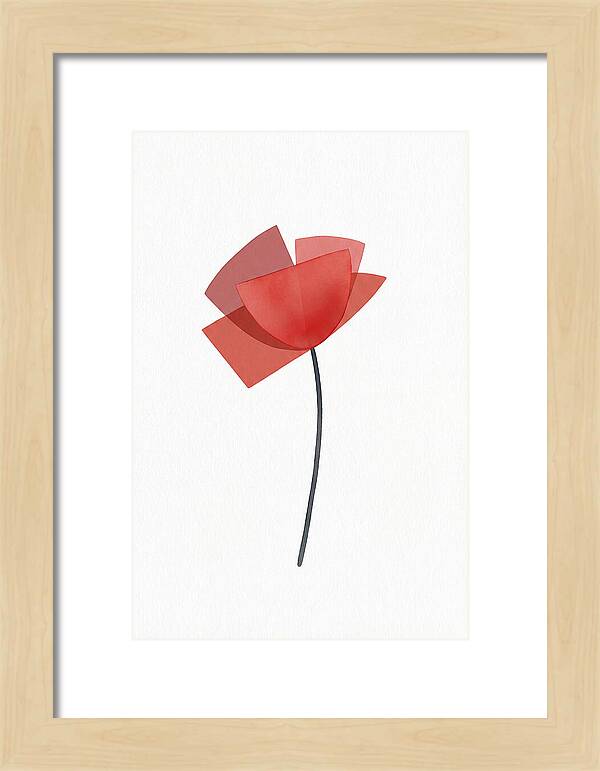 Red Poppy Minimalism