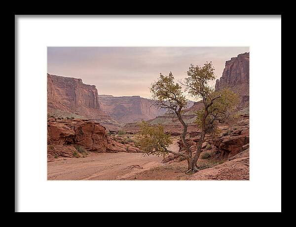 Red Rock Canyon Serenity