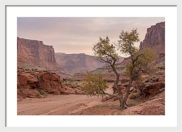Red Rock Canyon Serenity
