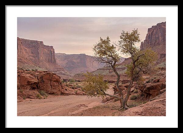 Red Rock Canyon Serenity