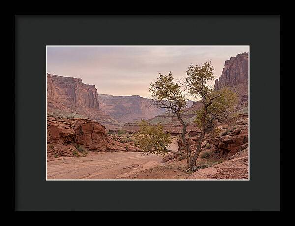 Red Rock Canyon Serenity