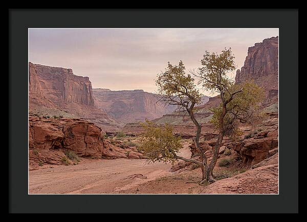 Red Rock Canyon Serenity