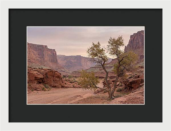 Red Rock Canyon Serenity