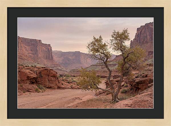 Red Rock Canyon Serenity