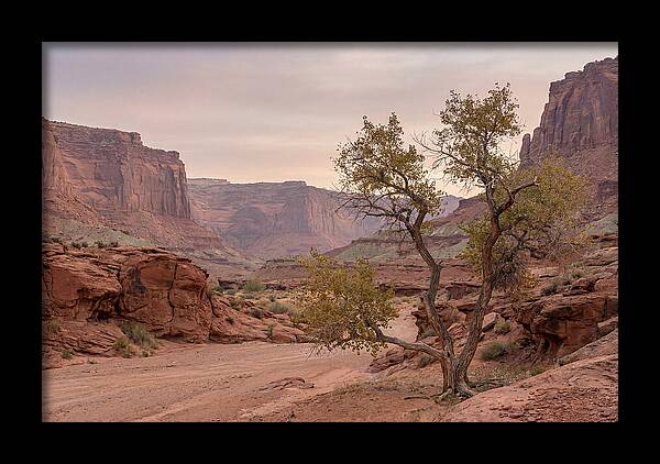 Red Rock Canyon Serenity