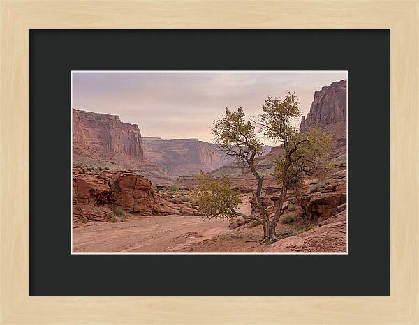 Red Rock Canyon Serenity
