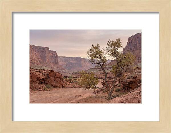 Red Rock Canyon Serenity