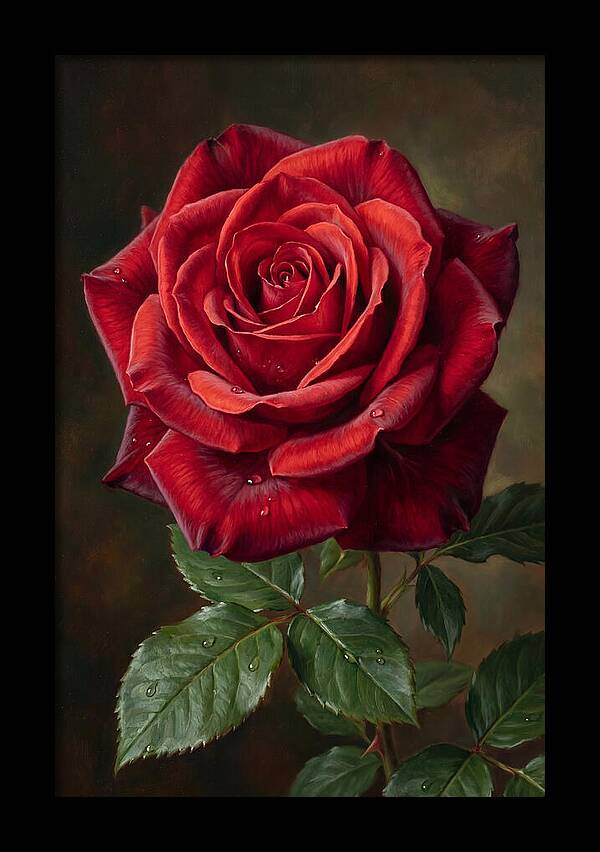 Red Rose In Bloom