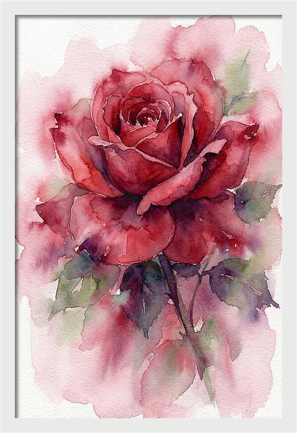 Red Rose In Watercolor