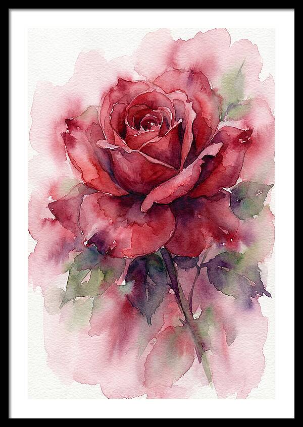 Red Rose In Watercolor