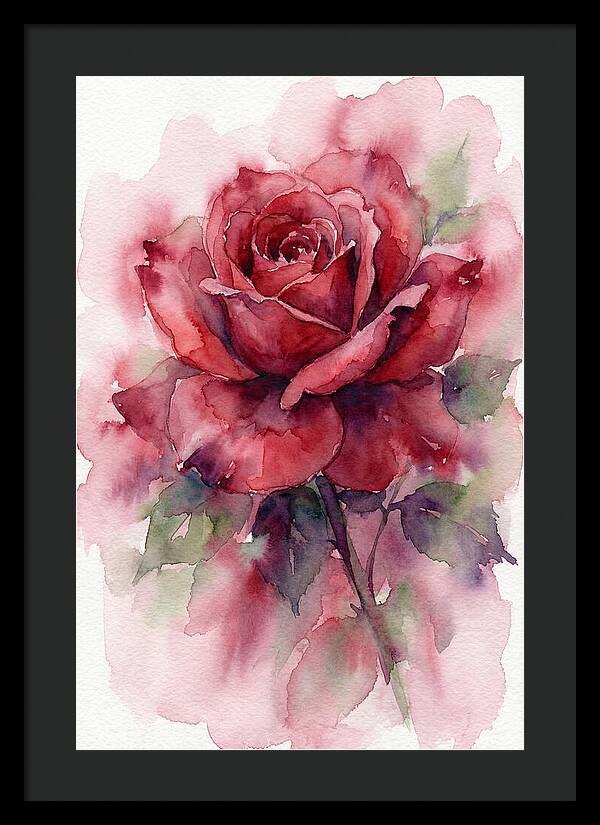Red Rose In Watercolor