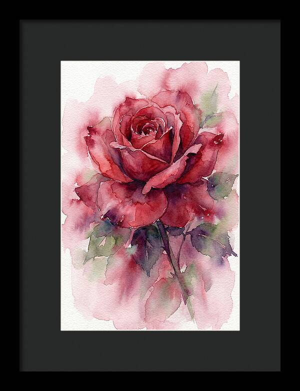 Red Rose In Watercolor