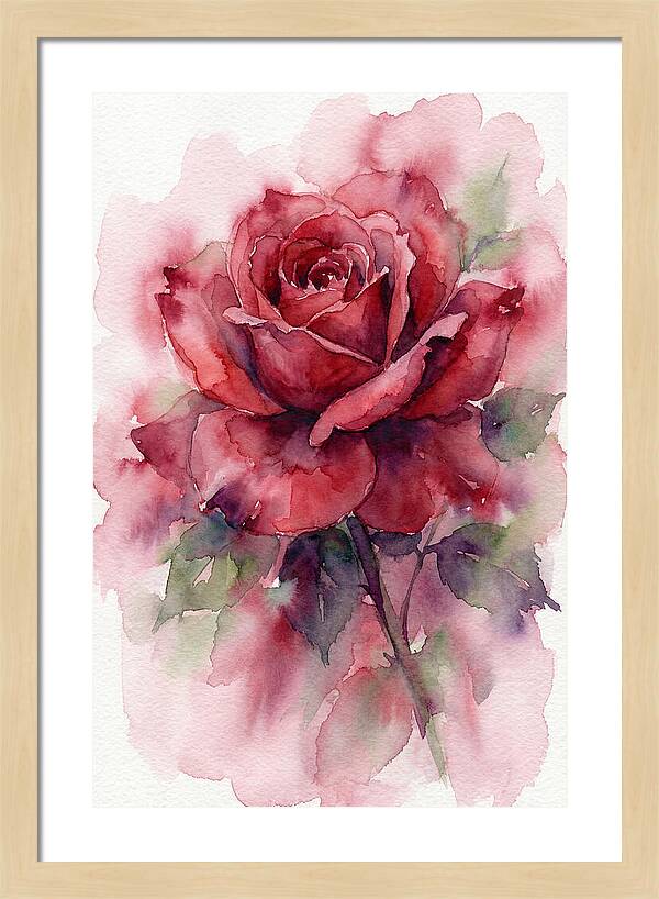 Red Rose In Watercolor