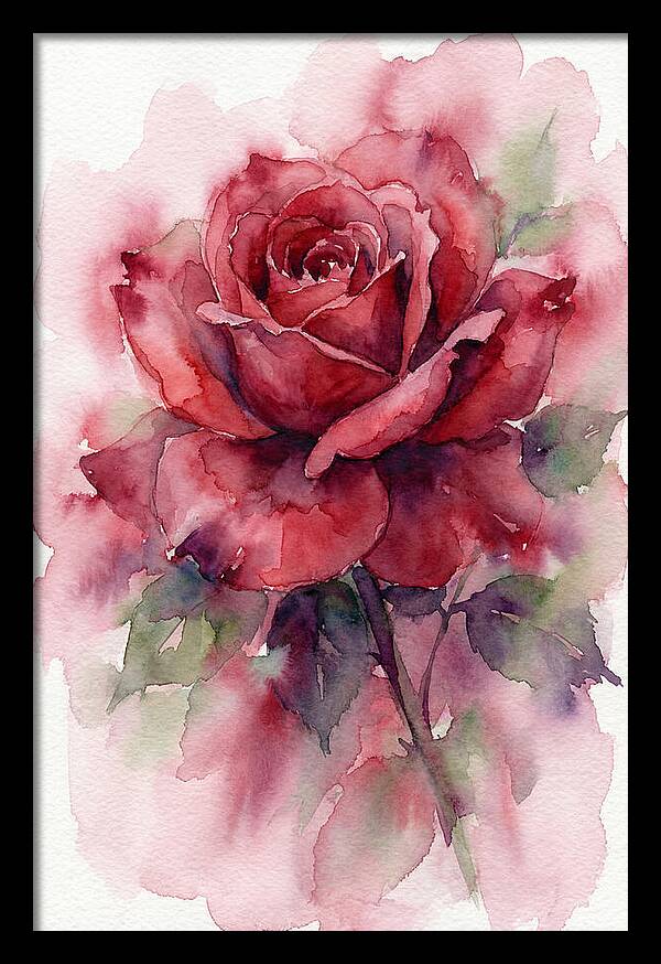Red Rose In Watercolor
