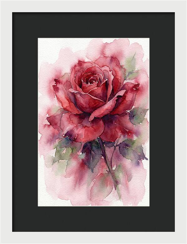 Red Rose In Watercolor