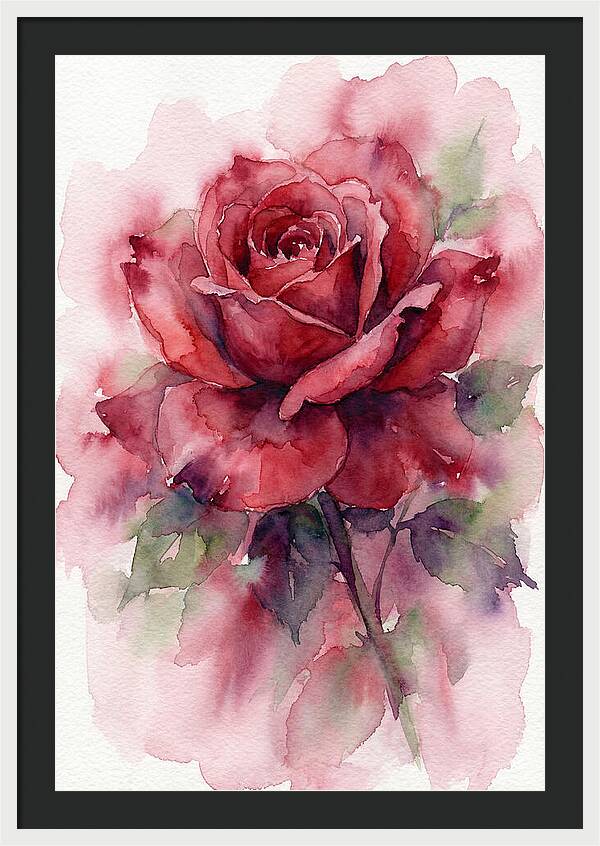 Red Rose In Watercolor