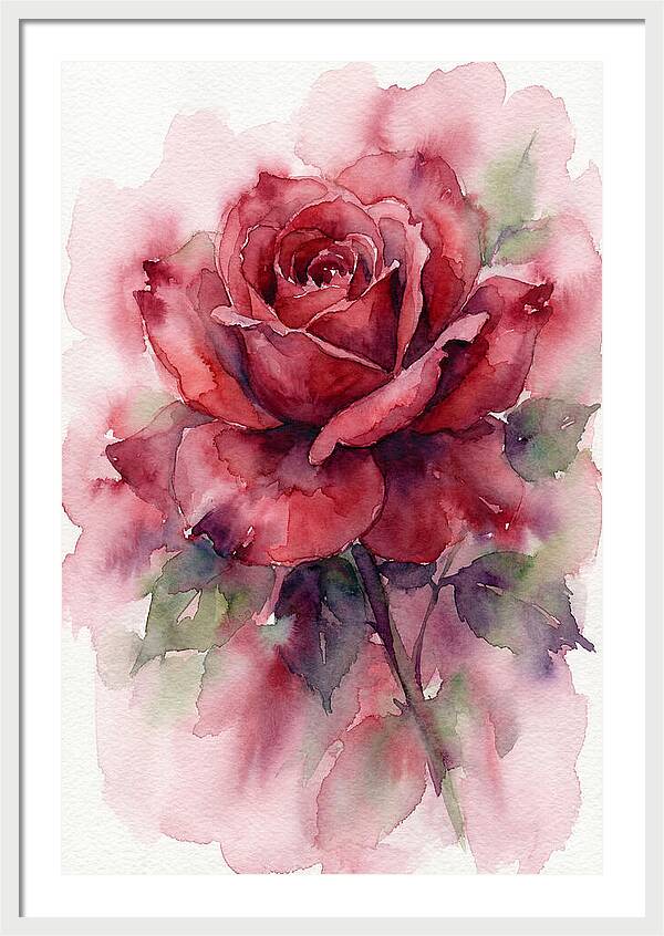 Red Rose In Watercolor