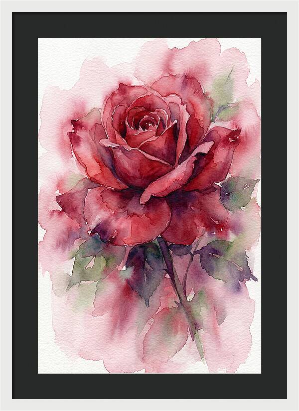 Red Rose In Watercolor