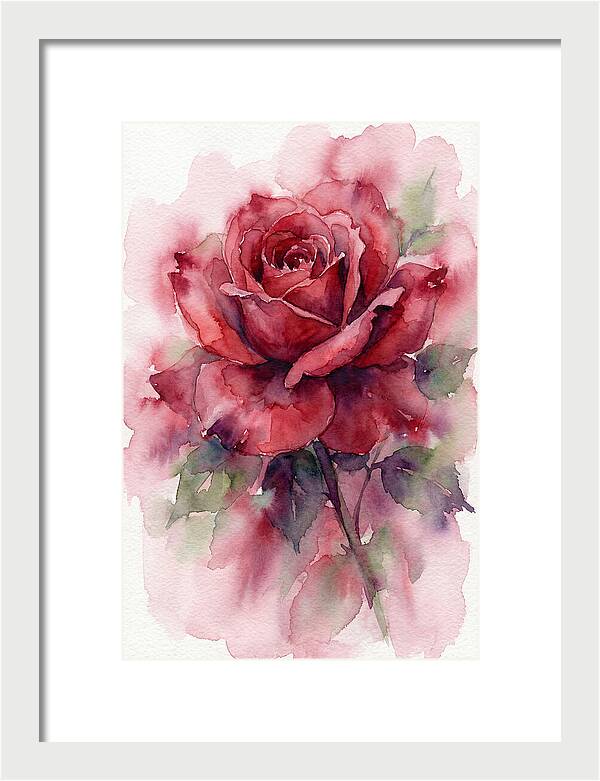 Red Rose In Watercolor