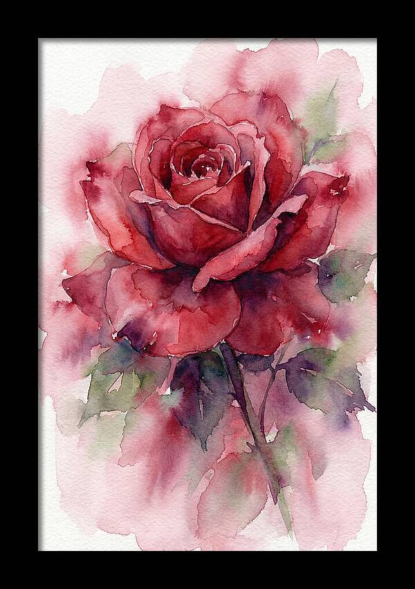 Red Rose In Watercolor