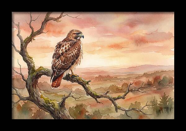 Red Tailed Hawk At Dusk