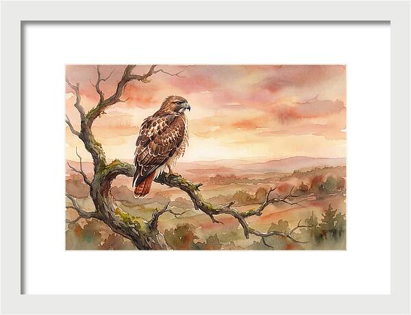 Red Tailed Hawk At Dusk