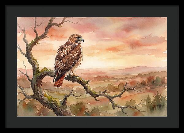 Red Tailed Hawk At Dusk