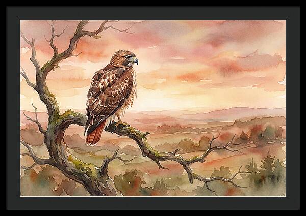 Red Tailed Hawk At Dusk