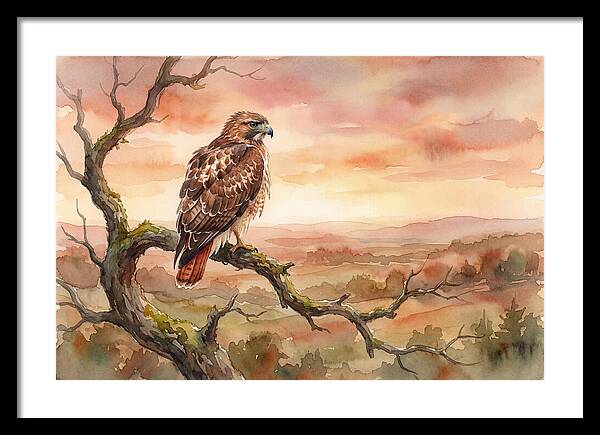 Red Tailed Hawk At Dusk