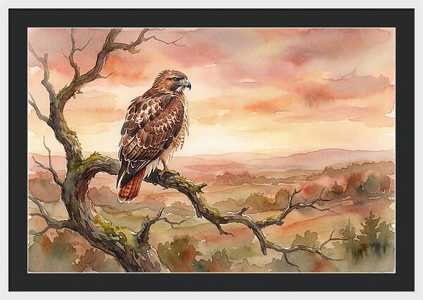 Red Tailed Hawk At Dusk