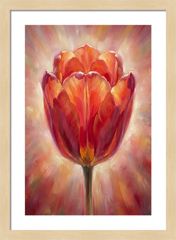 Red Tulip