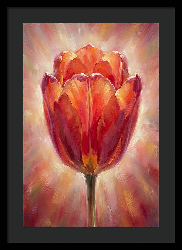 Red Tulip