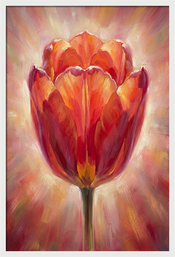 Red Tulip