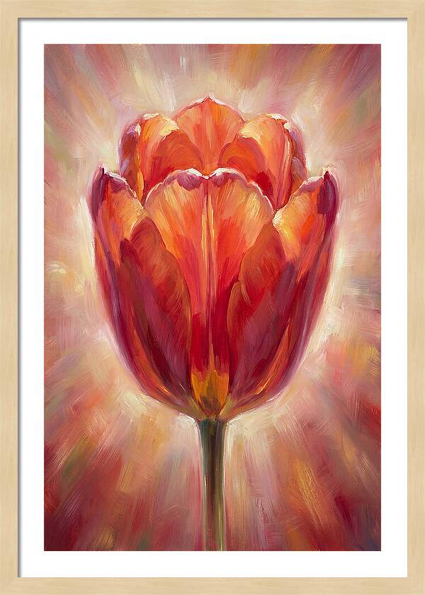 Red Tulip