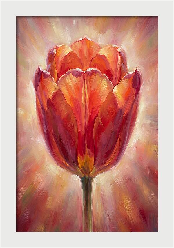 Red Tulip