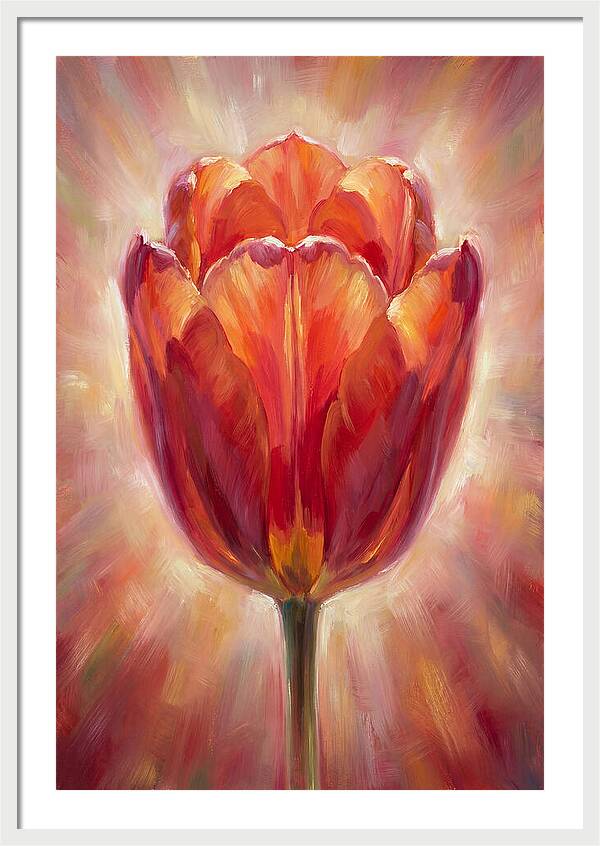 Red Tulip