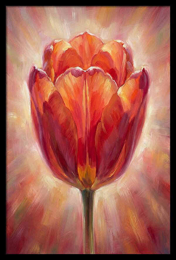 Red Tulip