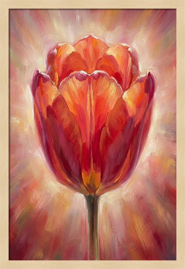 Red Tulip