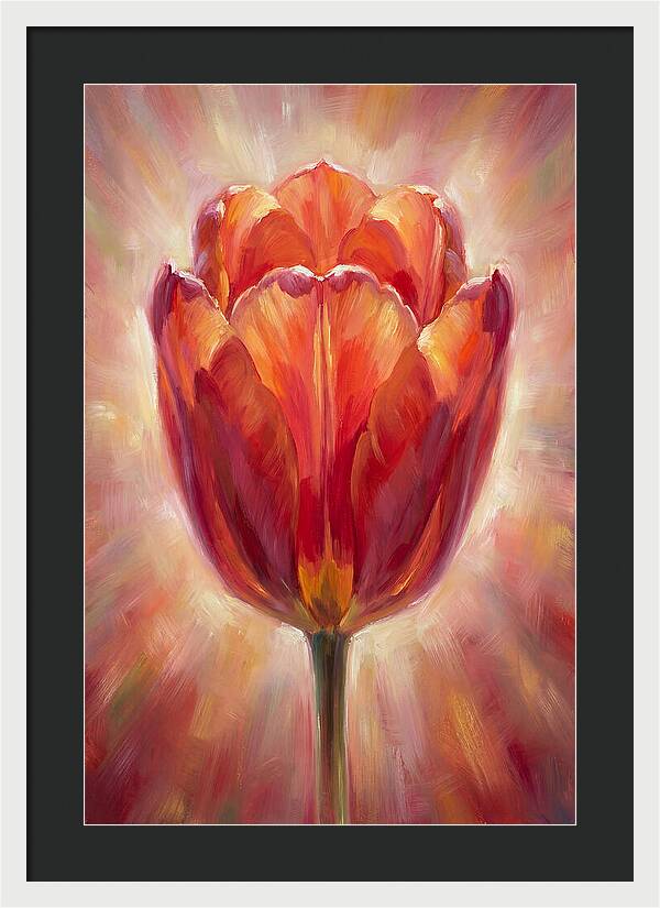 Red Tulip