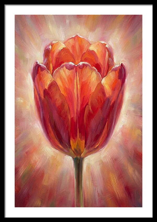 Red Tulip