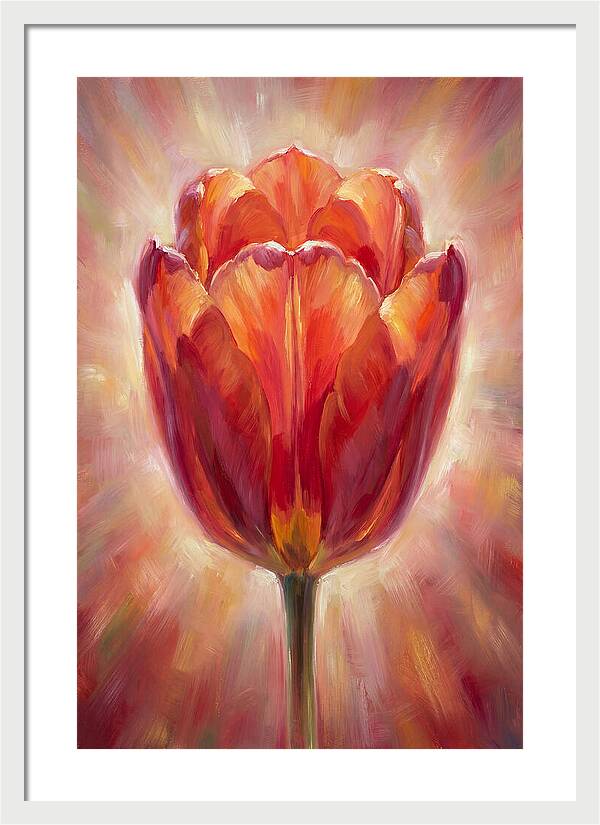 Red Tulip