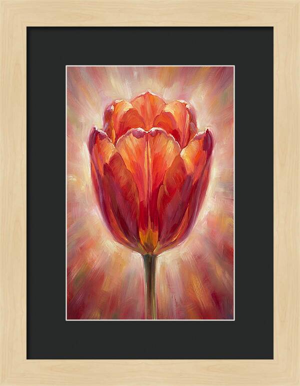 Red Tulip
