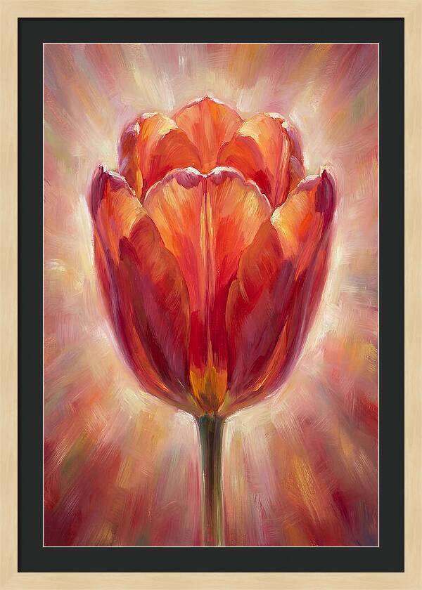 Red Tulip