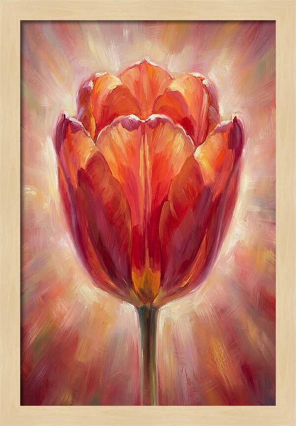 Red Tulip