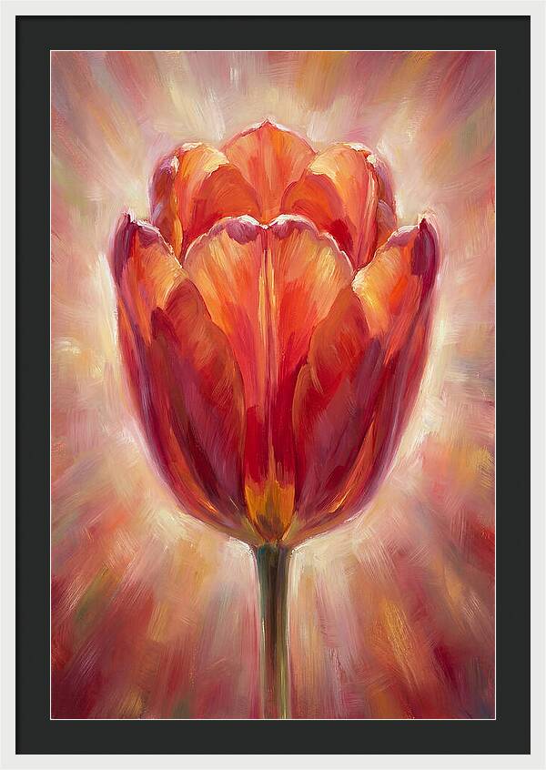 Red Tulip