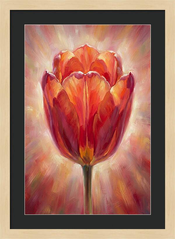 Red Tulip